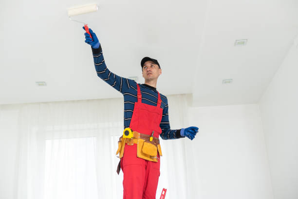 Best Trim and Molding Painting  in Hercules, CA